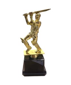 Cricket Trophy Award