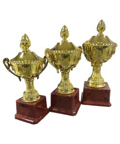 Customizable Trophy Y0019-21